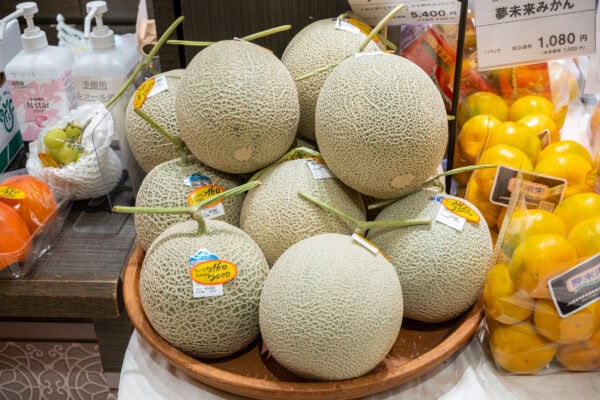 How to Buy A Musk Melon in Japan | www.iamafoodblog.com