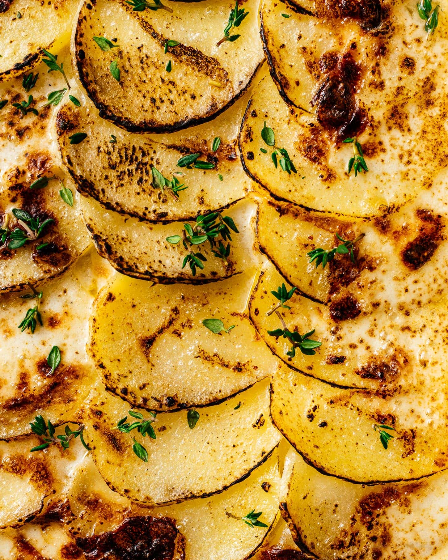 scalloped potatoes recipe | www.iamafoodblog.com