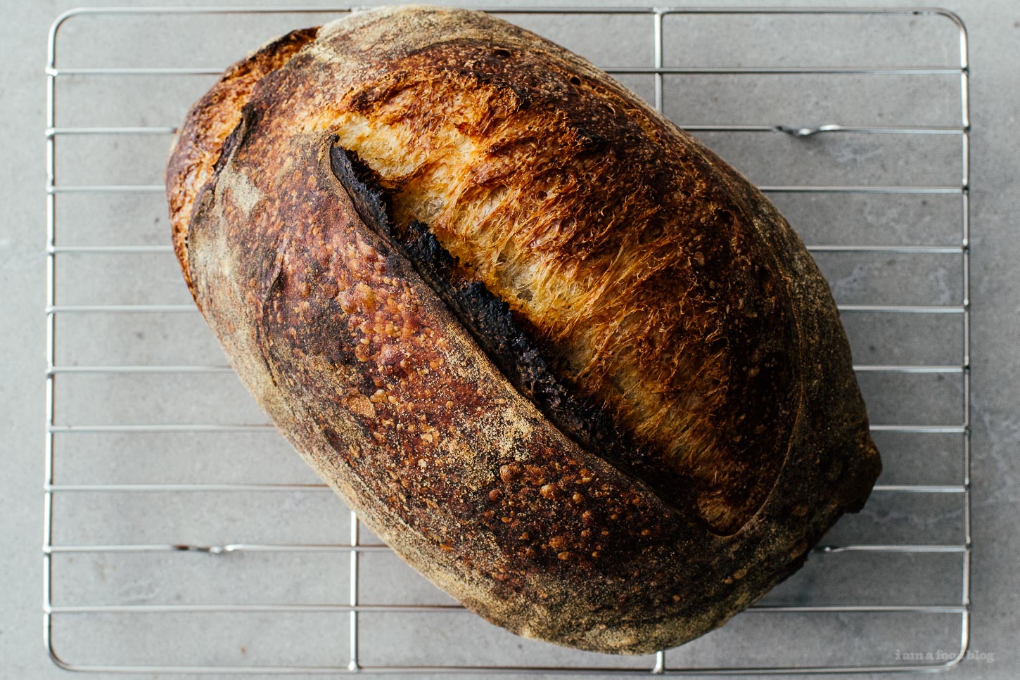 How to make small batch sourdough | www.iamafoodblog.com